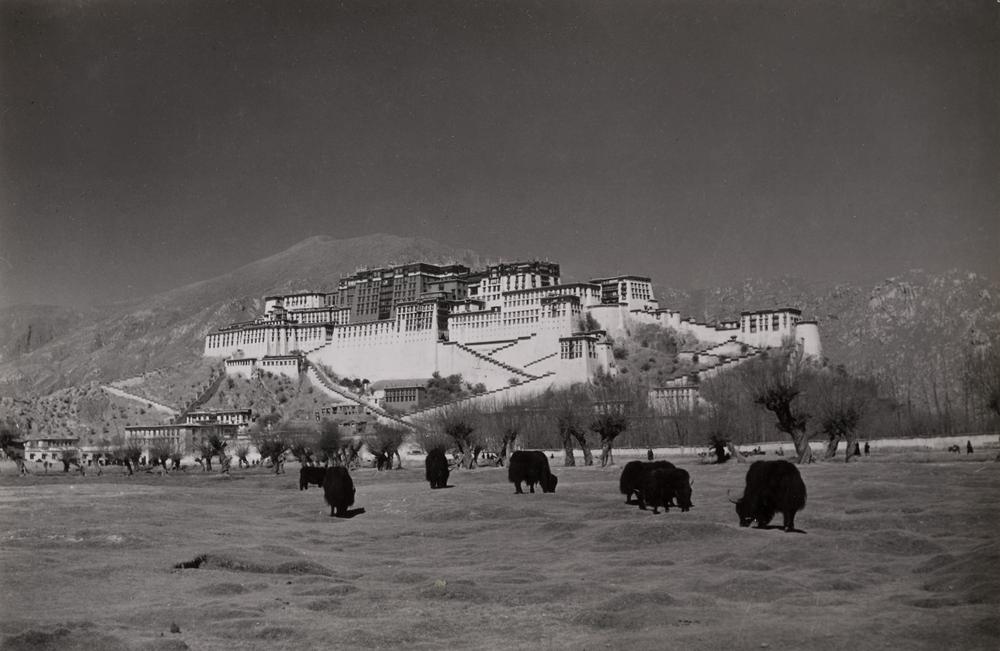 图片[1]-photographic print(black and white); album BM-1986-0313-0.1.17-China Archive